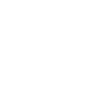 Energy Security icon